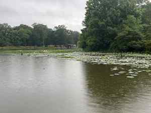 IMG_2532.jpeg