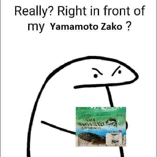 BassresourceZako.jpg.3b1950c82239c546353c95f5c05b097b.jpg