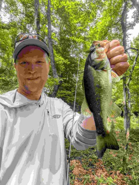 Compress_20250615_223932_2359.jpg.b9f383d7bb53d31ba69d520a4b11c7cf.jpg