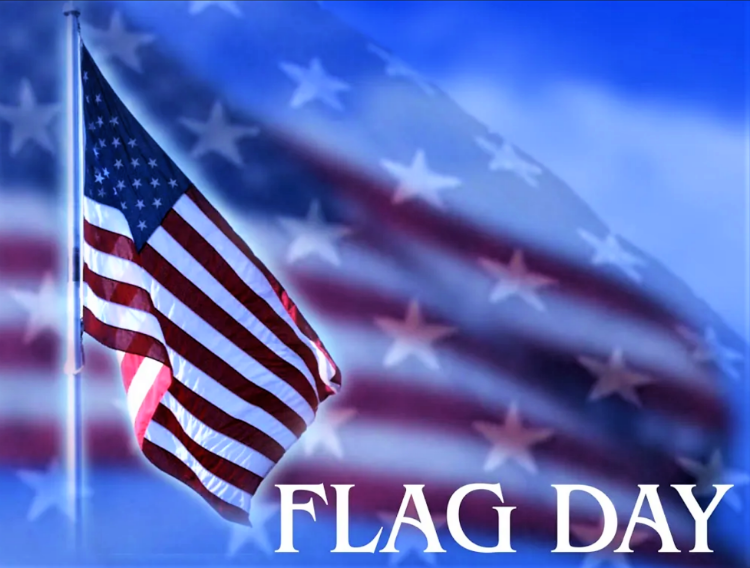 FlagDaycleanBR.png.d1fe2ee5309e055aa651b5d6b1154613.png