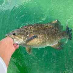 10,000 lakes Bassin