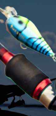 IMG_2283.jpeg.d97a3bc302ba8696eca6edd988facf3c.jpeg