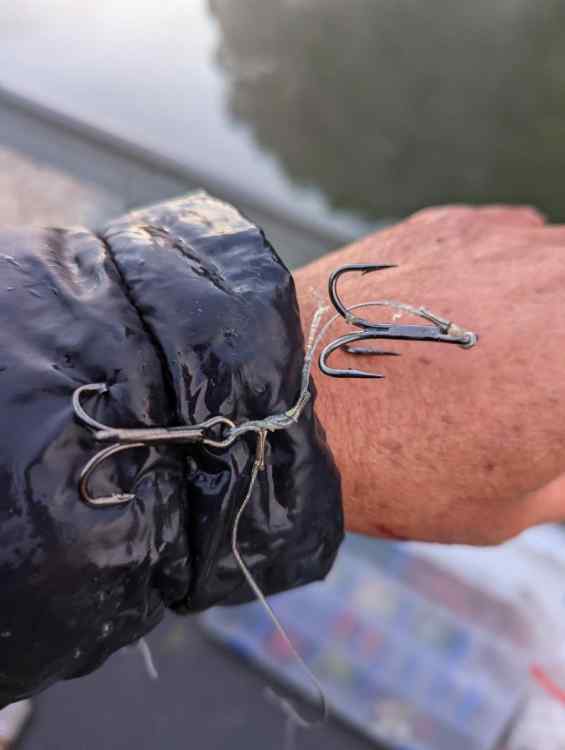 hooked.jpeg.004ab3e3a99af0f3f15f6c6842db62ce.jpeg