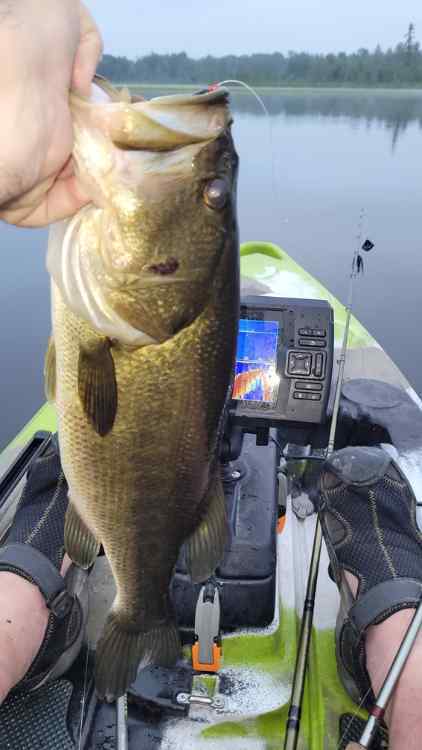 20250710_LW3pounder.jpg.bfadfb686bce084f9d6a0c326c6e4f06.jpg