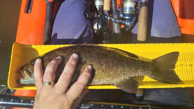 20250727_17smallie.jpg.1347c116cbba98167ea594cc5bf080b9.jpg