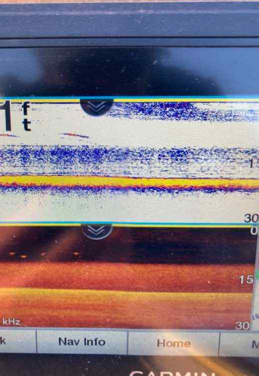 IMG_1372.jpeg.657e9f13e7d84cccac875b30fd02fe31.jpeg
