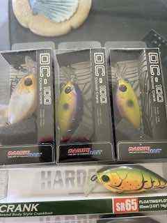 IMG_2305.jpeg.c2d2906dae946765be2d23ccebd36268.jpeg