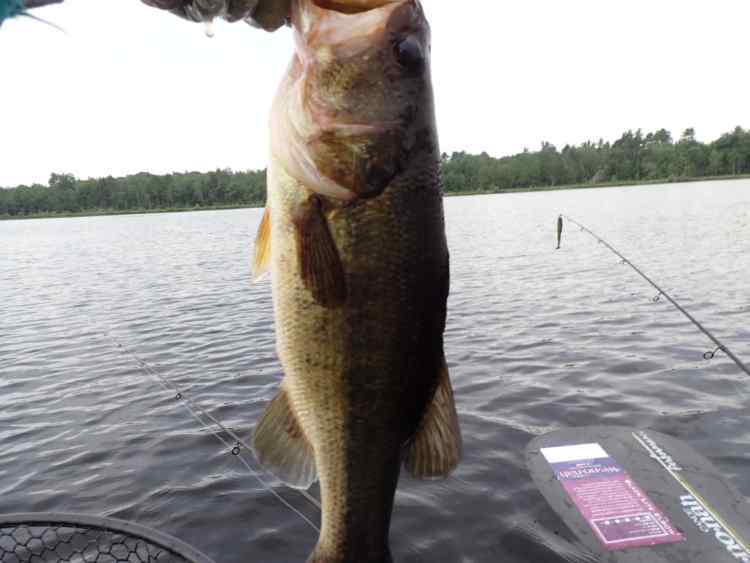 P7250020.JPG.a13d75ec0a275aa9e126dacec92748f0.JPG