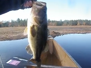 fivepounder.png.d0c1997dfe26aaa1d9ffc8d0936de329.png