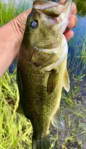 IMG_3175.jpeg