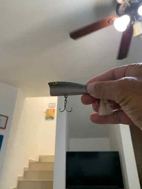 topwater2222.jpg.ff7cd81c9ed3880be0179bd59b9fc634.jpg