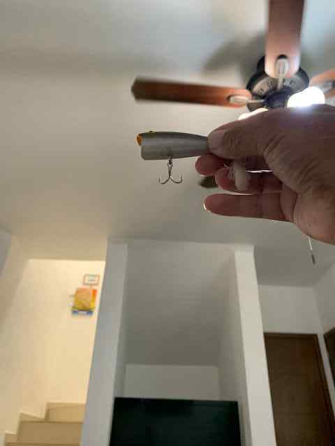 topwater3.jpg.a56aa87dd617b2c6404f6e801191b210.jpg