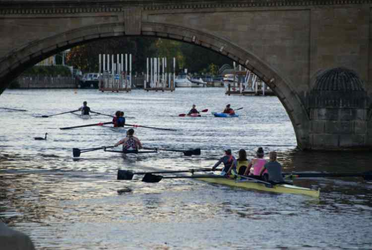 DSC04946.JPG.5771e2a2335c9f6fe3dd06e03b93b094.JPG