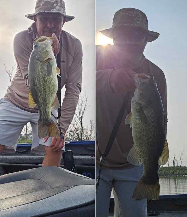 Fishpics.jpg.5c611adc148db9b8973e6f9dec546639.jpg