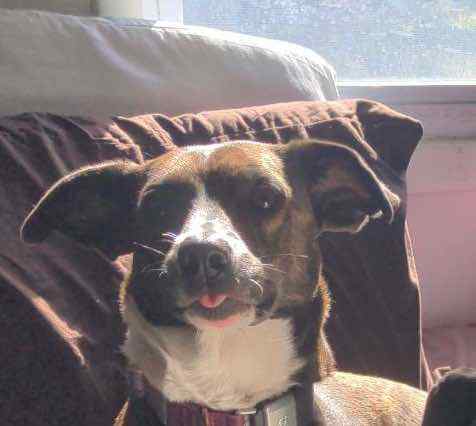 IMG_20231023_114937_01.jpeg.670e78ae868a3a4708ff05e254f167d1.jpeg