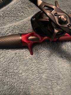 IMG_2352.jpeg.b3c91902a2858da37fc81536e767480b.jpeg