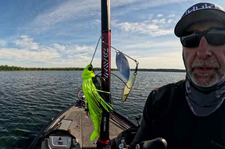 LockedaSpinnerbaitinmyhandbr.jpg.61d7d2a4efa616de12d4231e545fd388.jpg