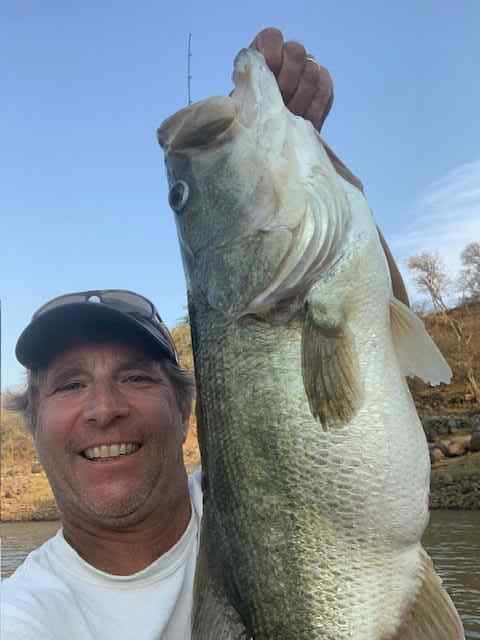 bass3.jpg.906f996836bb7c2ca51b59fc3702e80d.jpg