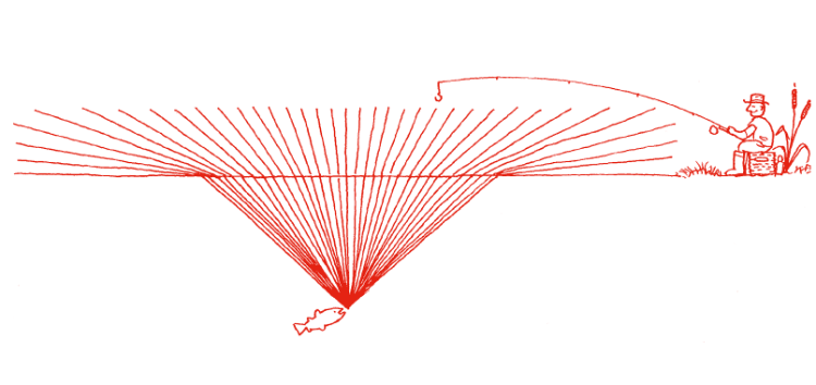 image.png.b6f4d93cc45f406ec0f06fa0724d70c5.png