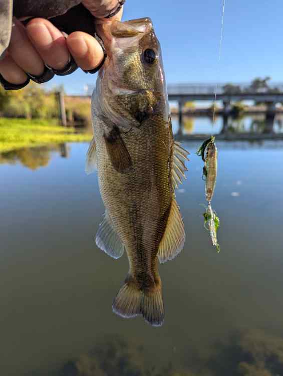 kar1.jpg.34b82d6fbd70d616c33a81dd71b33f54.jpg