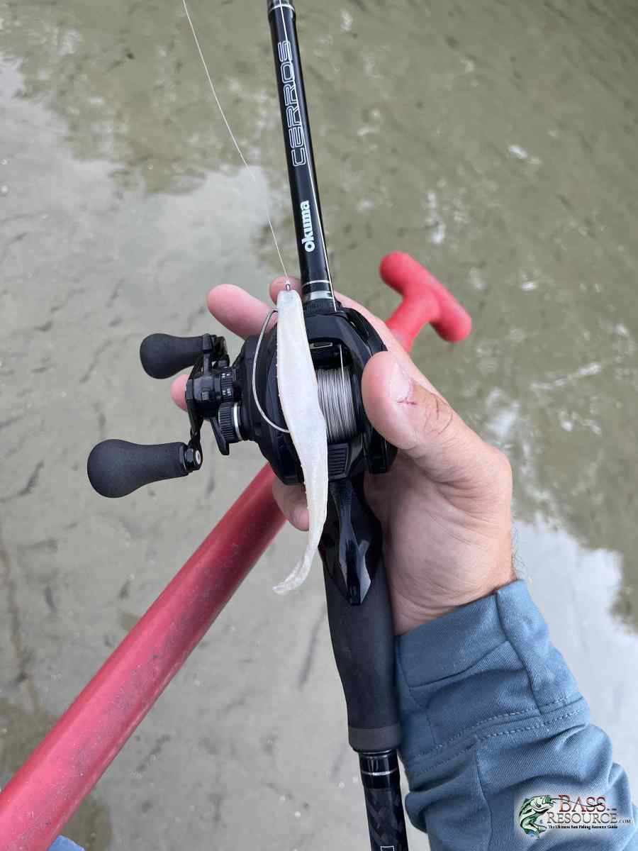 large.IMG_3715.jpeg
