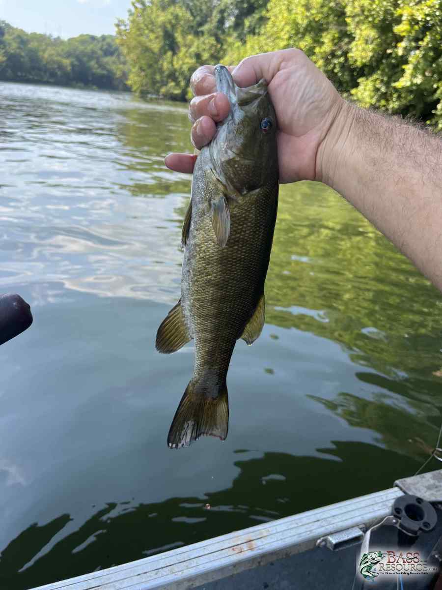 large.IMG_3772.jpeg