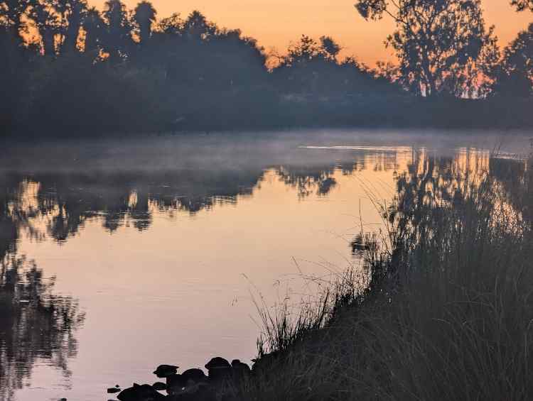 mist.jpg.629add6caa7e6c2cba84f3894c91e23b.jpg