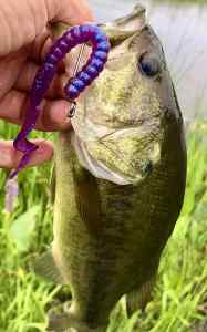IMG_3182.jpeg
