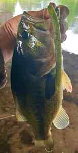 IMG_3190.jpeg