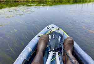 IMG_3200.jpeg
