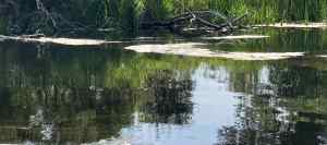 IMG_3224.jpeg