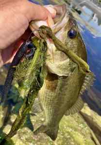 IMG_3240.jpeg