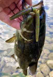 IMG_3283.jpeg