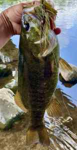 IMG_3288.jpeg