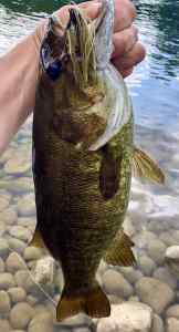 IMG_3293.jpeg