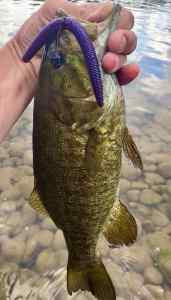 IMG_3308.jpeg