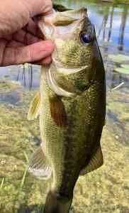 IMG_3391.jpeg