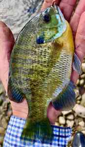 IMG_3404.jpeg