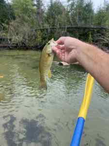 IMG_3609.jpeg