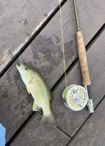 IMG_3707.jpeg