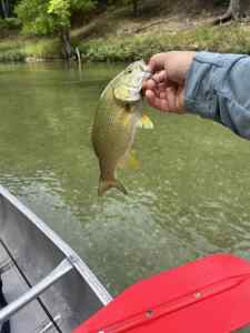 IMG_3710.jpeg