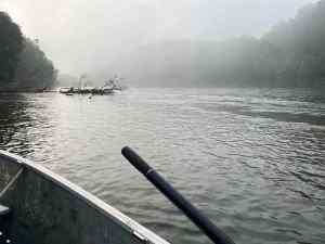 IMG_3768.jpeg