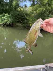 IMG_3771.jpeg