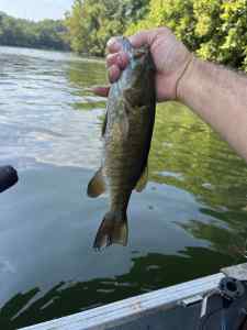 IMG_3772.jpeg