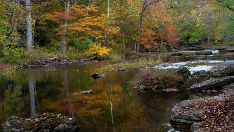 OldStoneFortStateParkDuckRiver_111920x1080.jpg.a836e0f828ab40559958f410c0ce874b.jpg