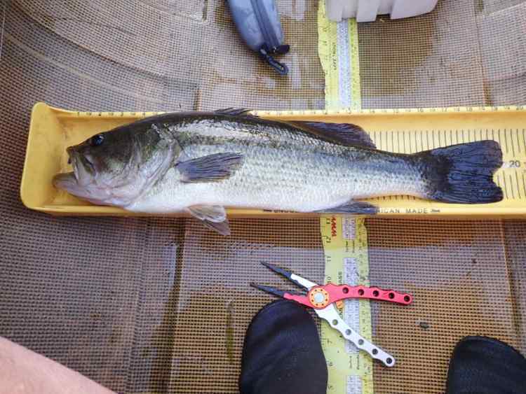 P9020005.JPG.64c18fe96742141d9d3bfb46150242a3.JPG
