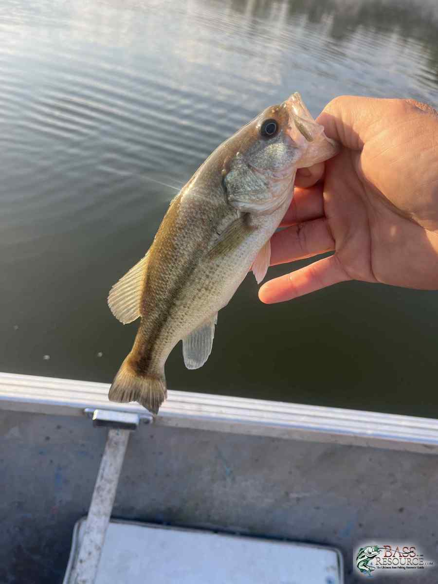 large.IMG_3922.jpeg