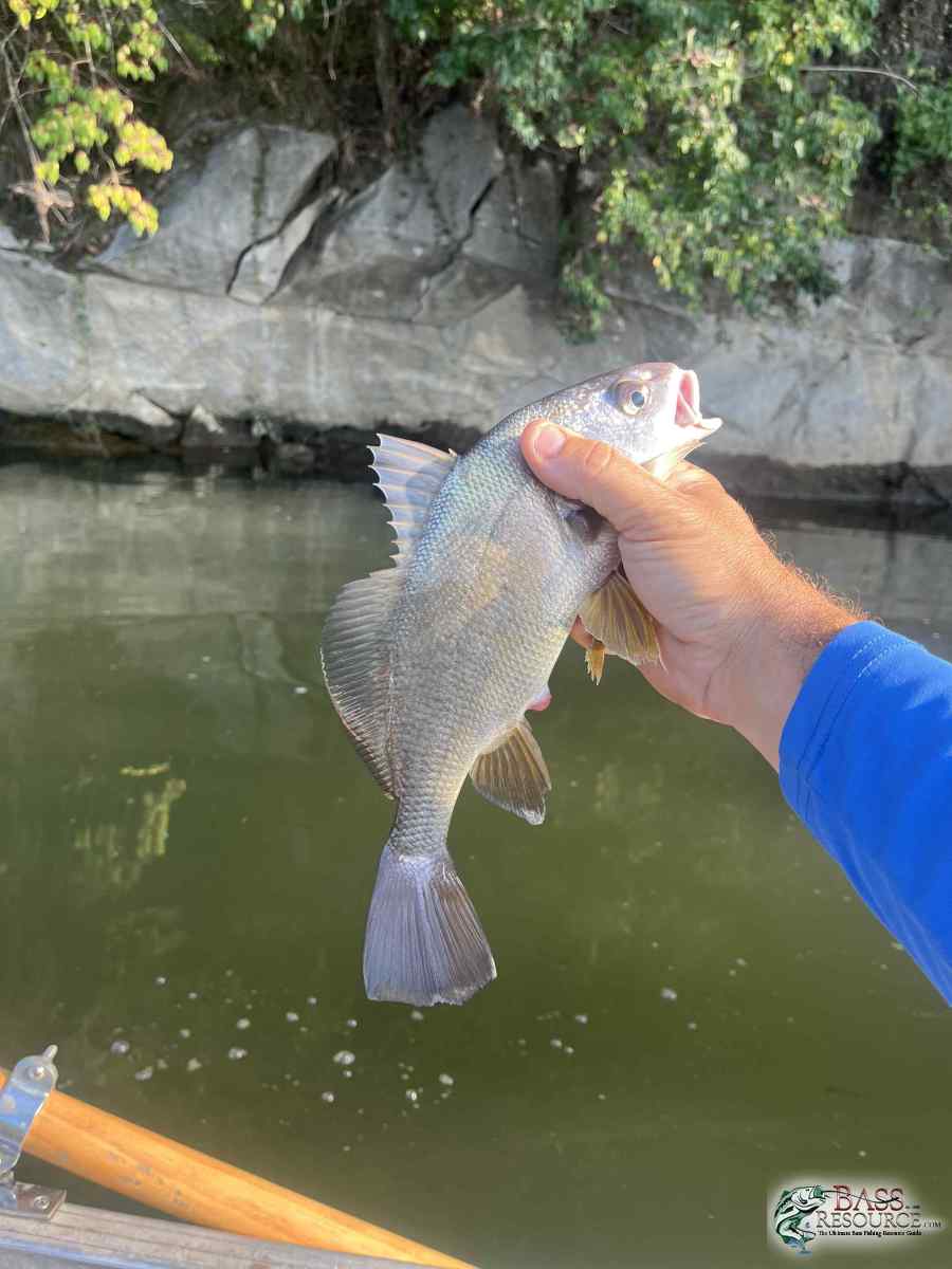 large.IMG_3934.jpeg