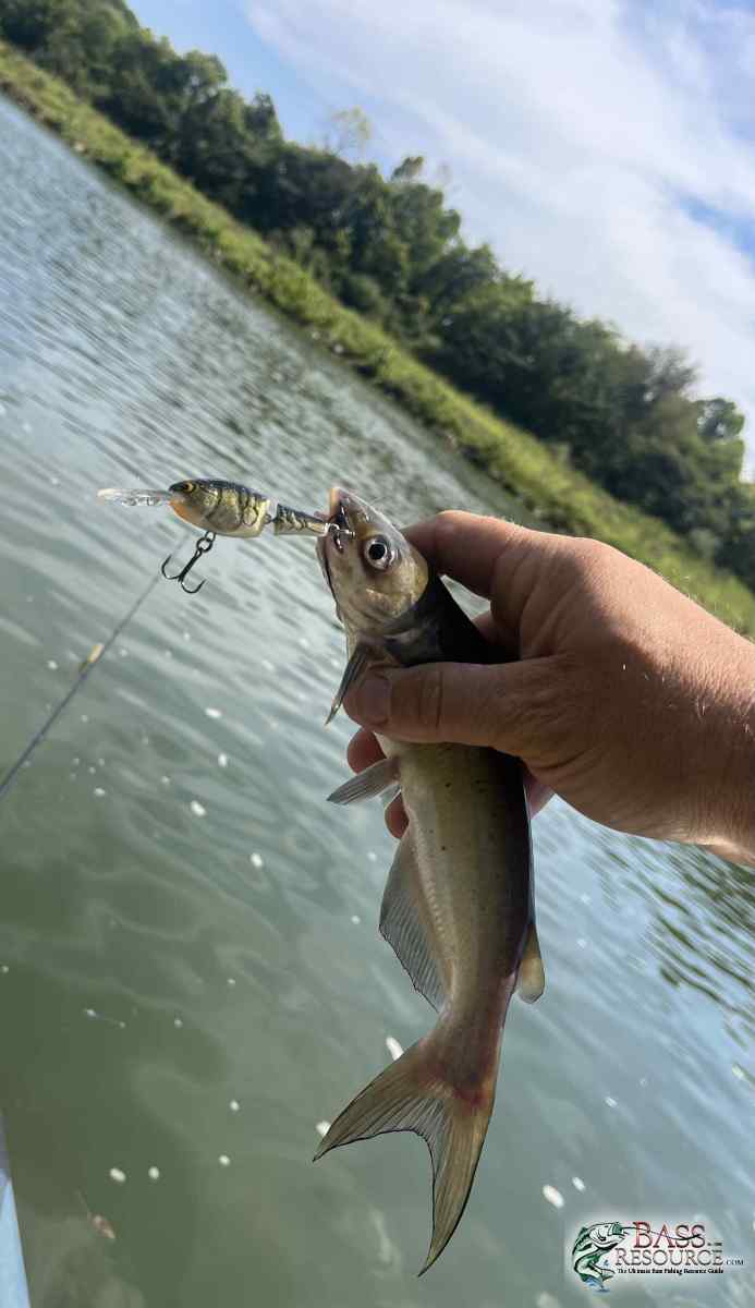 large.IMG_3946.jpeg