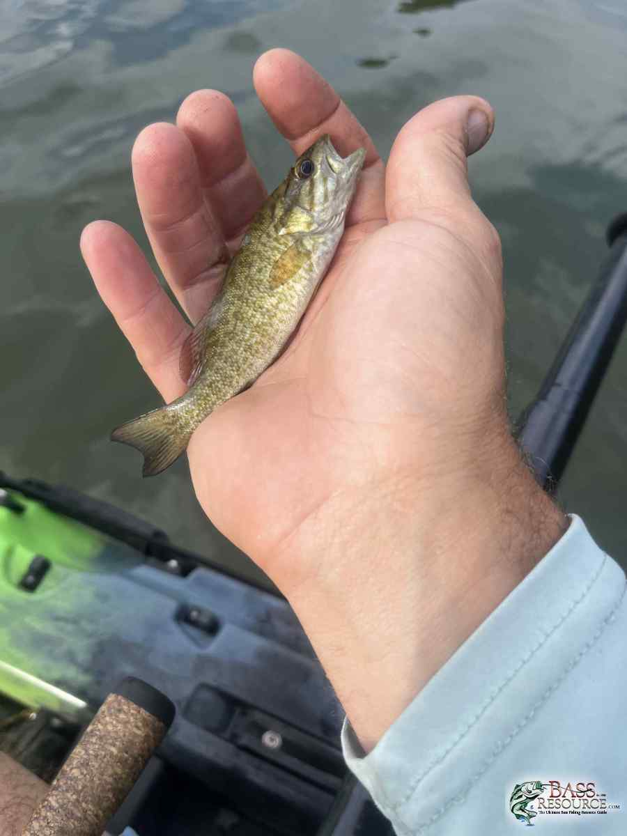 large.IMG_3950.jpeg